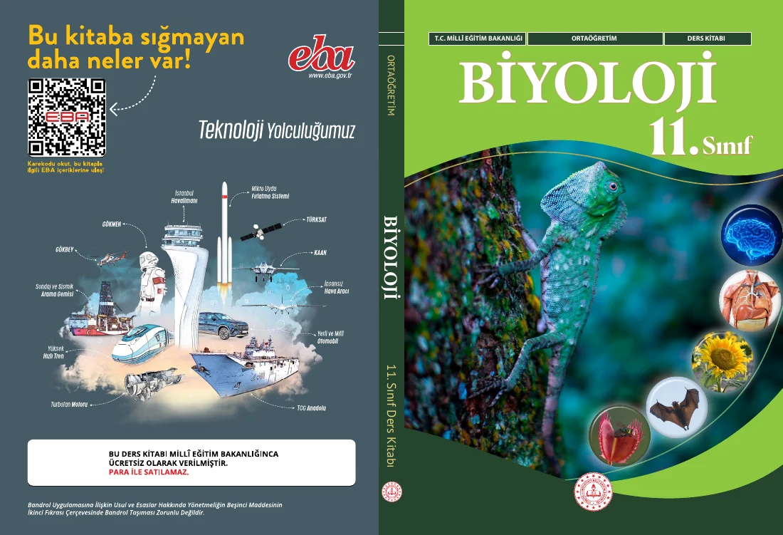 11.Sınıf Maarif Modeli Biyoloji Kitabı — ilk sayfa önizlemesi