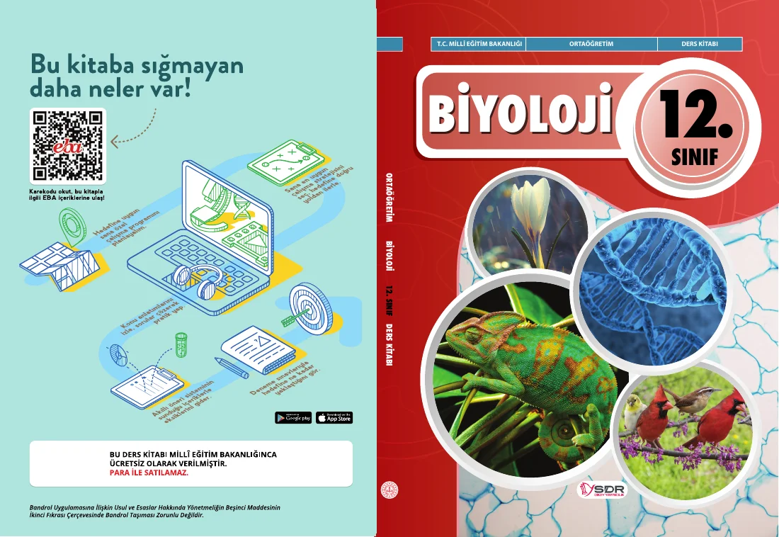 12.Sınıf Biyoloji Kitabı — ilk sayfa önizlemesi