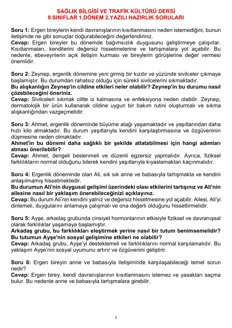 Sağlık Bilgisi ve Trafik Kültürü 1.Dönem 2.Yazılı Açık Uçlu Soru Örnekleri — ilk sayfa önizlemesi