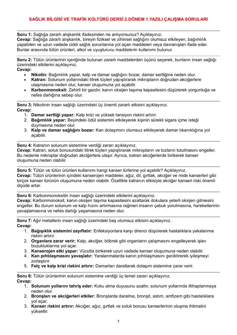 Sağlık Bilgisi ve Trafik Kültürü 2.Dönem 1.Yazılı Açık Uçlu Soru Örnekleri — ilk sayfa önizlemesi