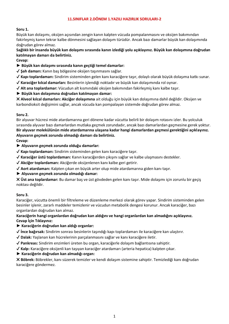11.Sınıf Biyoloji Dersi 2.Dönem 1.Yazılı Açık Uçlu Yazılı Hazırlık Soru Örnekleri-2 — ilk sayfa önizlemesi