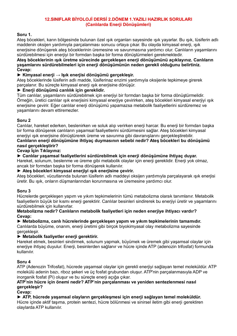 12.Sınıf Biyoloji Dersi 2.Dönem 1.Yazılı Açık Uçlu Yazılı Hazırlık Soru Örnekleri-1 — ilk sayfa önizlemesi