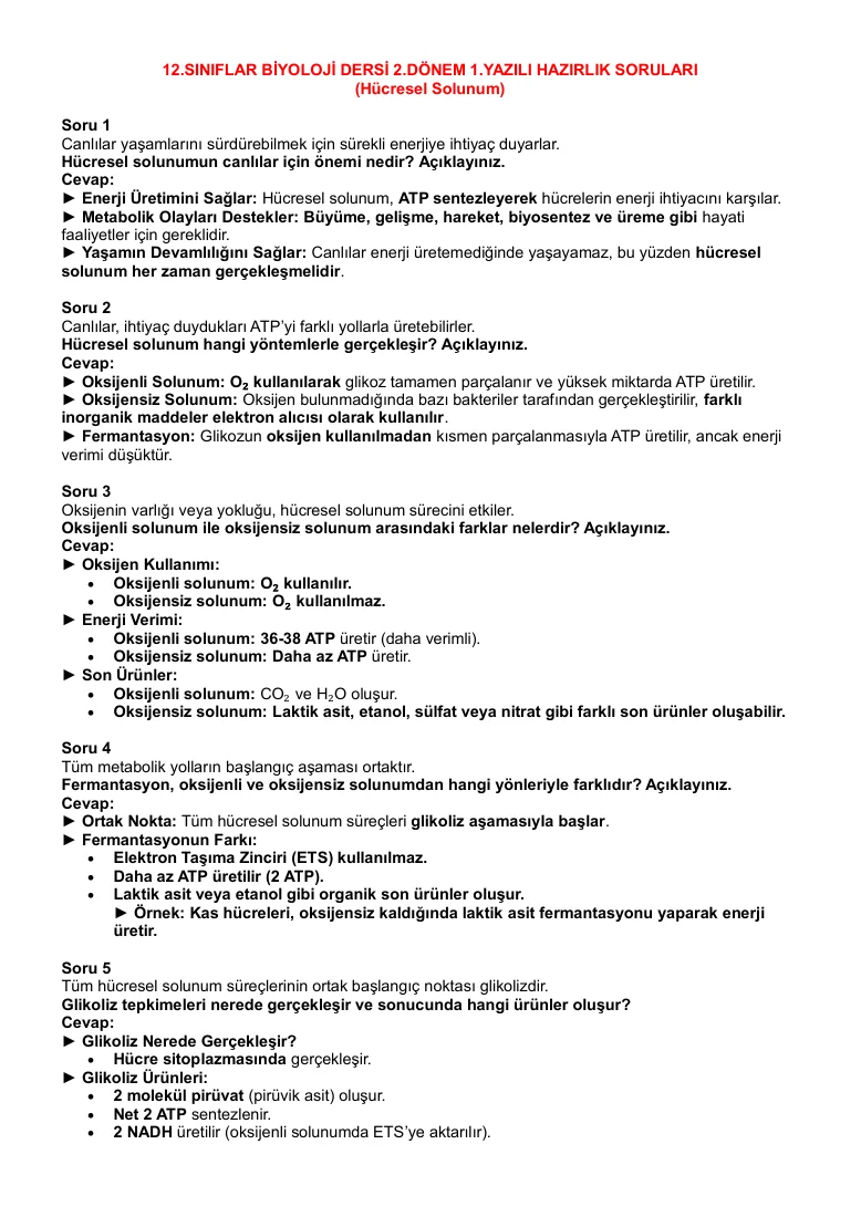 12.Sınıf Biyoloji Dersi 2.Dönem 1.Yazılı Açık Uçlu Yazılı Hazırlık Soru Örnekleri-2 — ilk sayfa önizlemesi