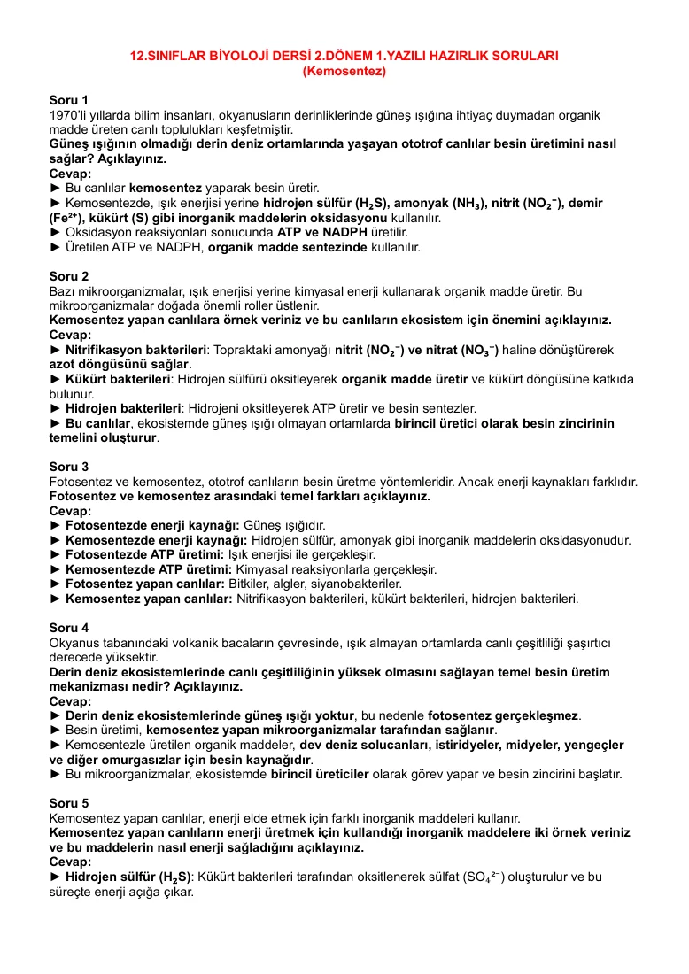 12.Sınıf Biyoloji Dersi 2.Dönem 1.Yazılı Açık Uçlu Yazılı Hazırlık Soru Örnekleri-3 — ilk sayfa önizlemesi