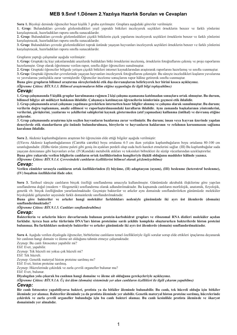 MEB 9.Sınıf 1.Dönem 2.Yazılıya Hazırlık Soruları-Cevapları — ilk sayfa önizlemesi