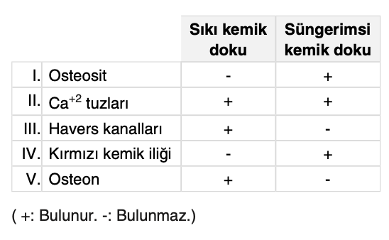Soru Resim 2