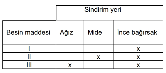 Soru Resim 2
