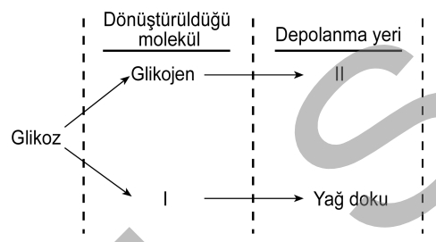 Soru Resim 2