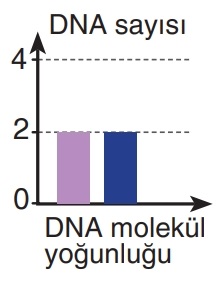 D seçeneği resmi