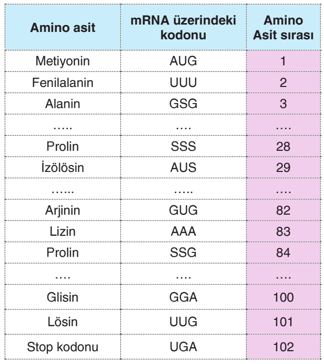 Soru Resim 2