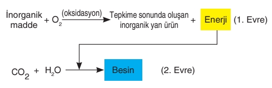 Soru Resim 2
