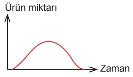 A seçeneği resmi
