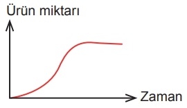 B seçeneği resmi