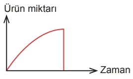 D seçeneği resmi