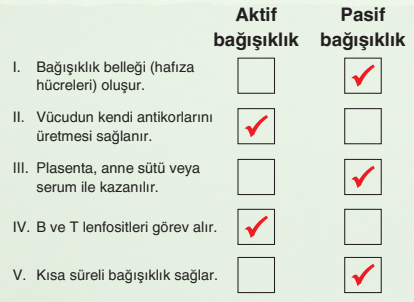 Soru Resim 2