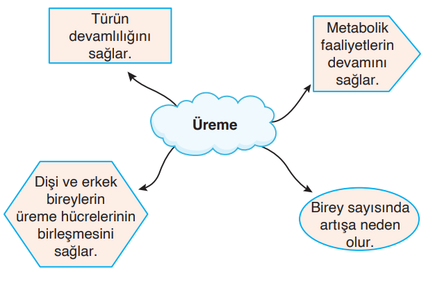 Soru Resim 2