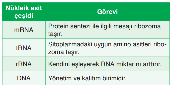 Soru Resim 2