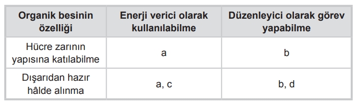 Soru Resim 2