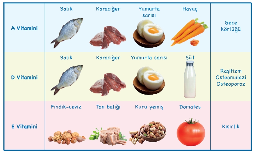 Soru Resim 2
